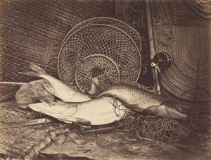 コイとパイクのある静物 作： Henry Bailey